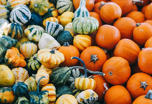 La cuisine : Manger sain