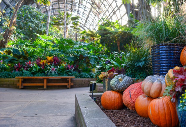 Le zoom : Les serres connectées