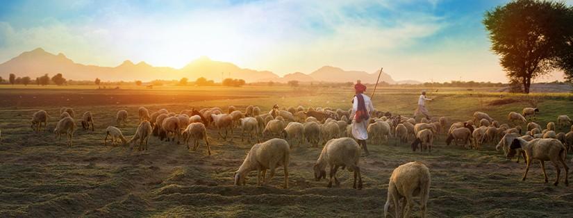 La Restauration Responsable en France : Une Implication RSE Croissante