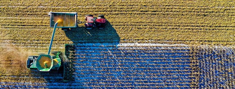 Le "Farm-to-Table" chez les Traiteurs : Une Approche Durable et Gourmande