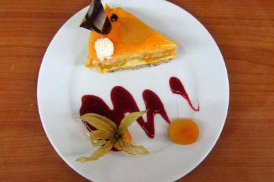 Part de gâteau à l'orange décorée de chocolat, crème et physalis, accompagnée de coulis rouge sur une assiette blanche.