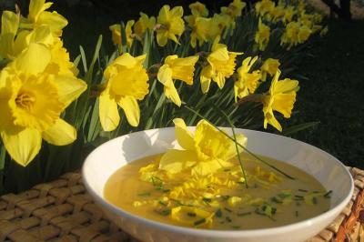 Bol de soupe décoré de fleurs jaunes et de ciboulette, posé sur une table en osier devant des jonquilles en plein air.
