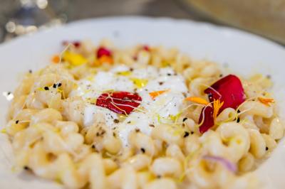Assiette de pâtes crémeuses garnies de fleurs comestibles, de germes et d'épices, servie dans un plat blanc.