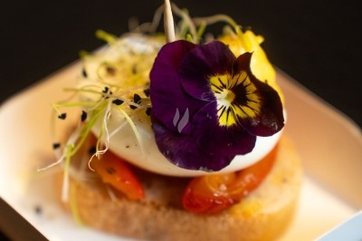Toast garni de burrata, tomates, pousses, graines et une fleur comestible violette, présenté sur une assiette blanche.